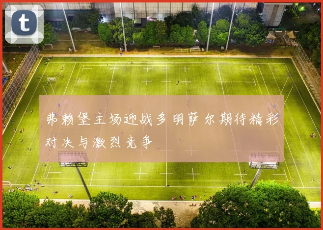 弗赖堡主场迎战多明萨尔期待精彩对决与激烈竞争