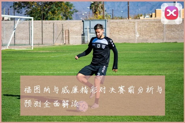 福图纳与威廉精彩对决赛前分析与预测全面解读