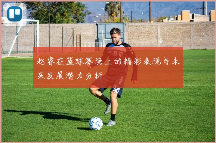 赵睿在篮球赛场上的精彩表现与未来发展潜力分析